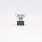 Trofeo Ref 160 - Supercoppa del  Belgio da 4/5 cm in resina