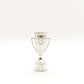 Trofeo Ref 117 - Concacaf Champions League new 2024 da 4 cm in resina