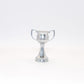 Trofeo Ref 168 - Coppa Italia serie C da 4/5 cm in resina